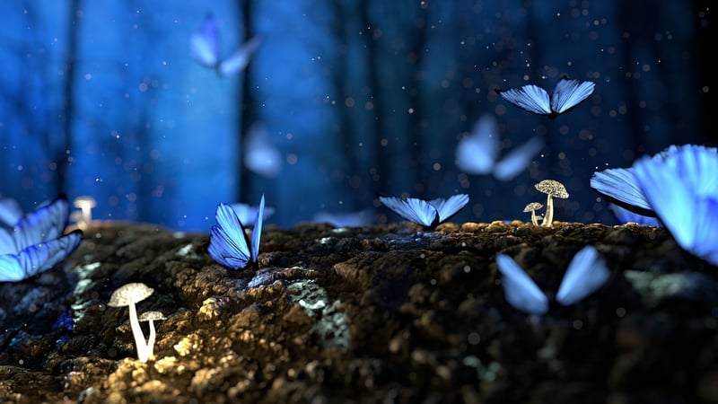 Enchanted Forest Elegance